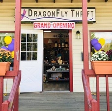 Dragonfly Thrift LLC