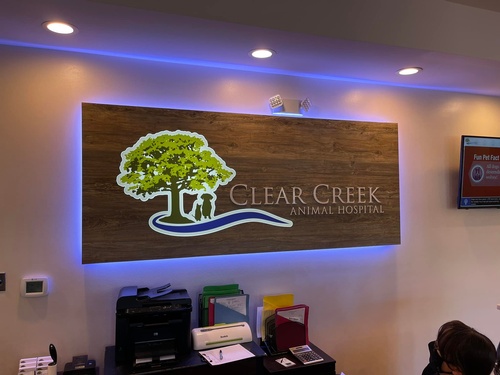 Indoor LED illuminated sign with color changing capabilities.
