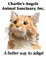 Charlie's Angels Animal Sanctuary Inc
