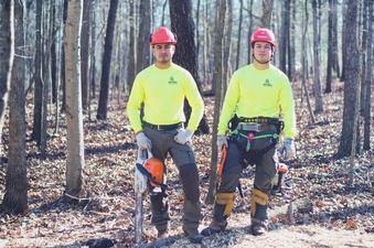 Brothers Tree Service NC LLC