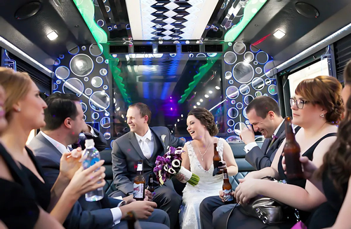 Gallery Image n55ov239.png