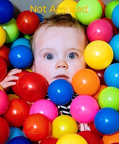 Gallery Image 513168559_564785496705875_1956218312606575265_n.jpg