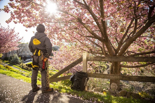 Gallery Image 499671476_1230674359064972_952574770502244411_n.jpg