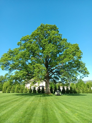 Gallery Image 500475327_1236222195176855_2162496552540464335_n.jpg