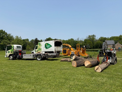 Gallery Image 503898455_1242621481203593_8195598621165036702_n.jpg