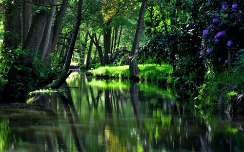 Gallery Image 555555923_25004498809168168_4475133219313922791_n.jpg