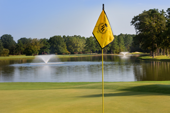 Gallery Image golf4_130326-013502.png