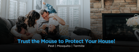 Carolina Pest Management 