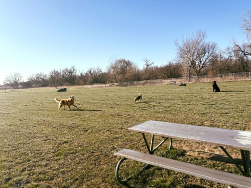 Pierre Dog Park