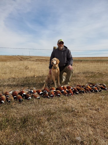 Gallery Image wanderin%20star%20hunts%20sd%20photo%202.jpg
