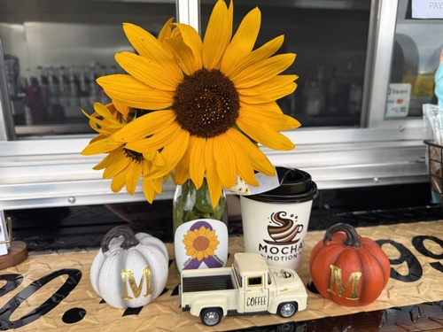 Gallery Image mm6.jpg