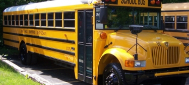 71 Passenger School Bus