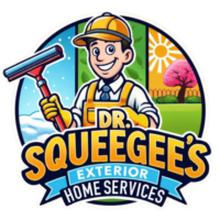 Dr Squeegees 