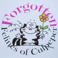 Forgotten Felines of Culpeper