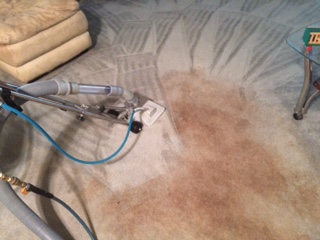 deep cleaning for carpet
