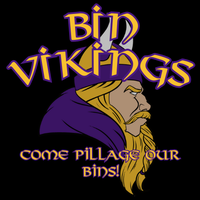 Bin Vikings