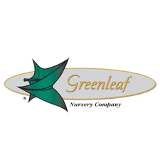 Greenleaf Nursery Company