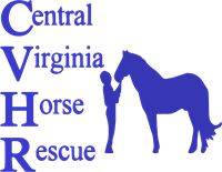 Central Virginia Horse Rescue