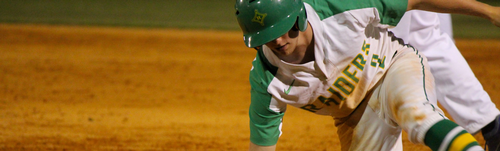 Gallery Image RSHS_Baseball__1_.png Gallery Image RSHS_Baseball__1_.png