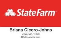 Briana Cicero-Johns State Farm