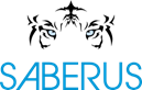 Saberus, Inc.