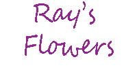 RAY'S FLOWERS, LLC