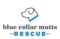 Blue Collar Mutts Rescue