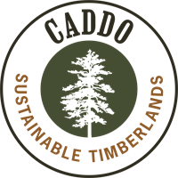 Caddo Sustainable Timberlands