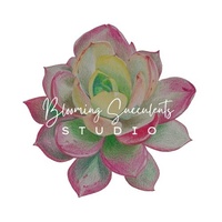 Blooming Succulents Studio LLC