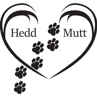 Hedd Mutt Foundation, NFP
