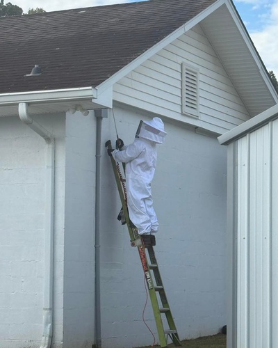 Gallery Image 559364625_1387330016732930_3270101074933421761_n.jpg