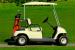 Roanoke Golf Cars LLC