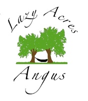 Lazy Acres Angus