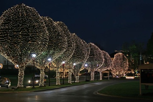 Gallery Image commercial-christmas-light-installation-service-company-near-me-019_111125-015604.jpg