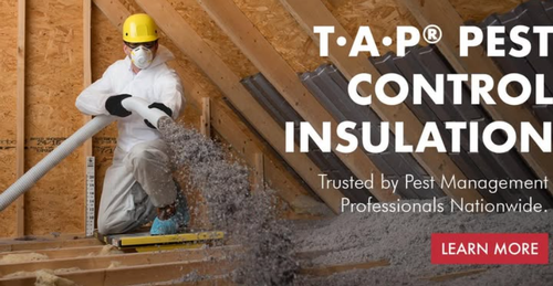 Gallery Image Screenshot%202026-01-02%20140709.png