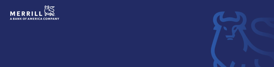 Merrill Lynch Merrill Lynch