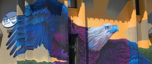 Blue Eagle Credit Union