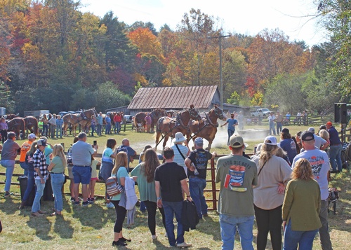 Gallery Image 490492531_1296505908707461_6604106135618444176_n.jpg