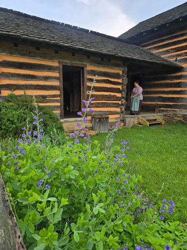 Gallery Image 498133795_1324974192527299_6801728375776926274_n.jpg