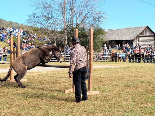 Gallery Image 572019394_1473087181049332_5327072094810462966_n.jpg