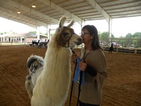 Bahama Llama Farm
