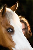 Equine Partners Inc. 