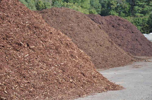 Gallery Image Types-of-mulch-pros-and-cons.jpeg