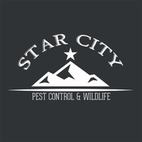 Star City Pest Control & Wildlife Star City Pest Control & Wildlife