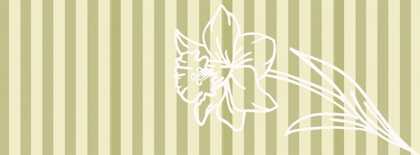 Sophia's Petals