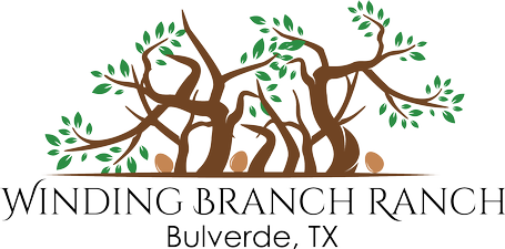 Winding Branch Ranch