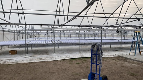 Gallery Image worldwide%20aquaponics%202.jpg Gallery Image worldwide%20aquaponics%202.jpg