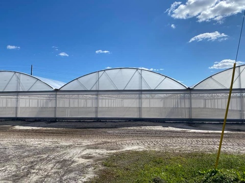 Gallery Image worldwide%20aquaponics%203.jpg Gallery Image worldwide%20aquaponics%203.jpg