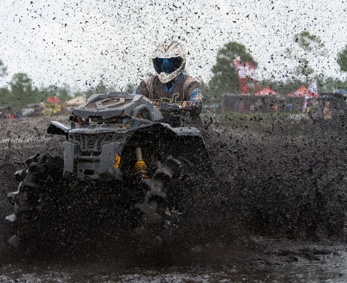 Gallery Image hog%20waller%207.jpg Gallery Image hog%20waller%207.jpg