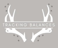 Tracking Balances